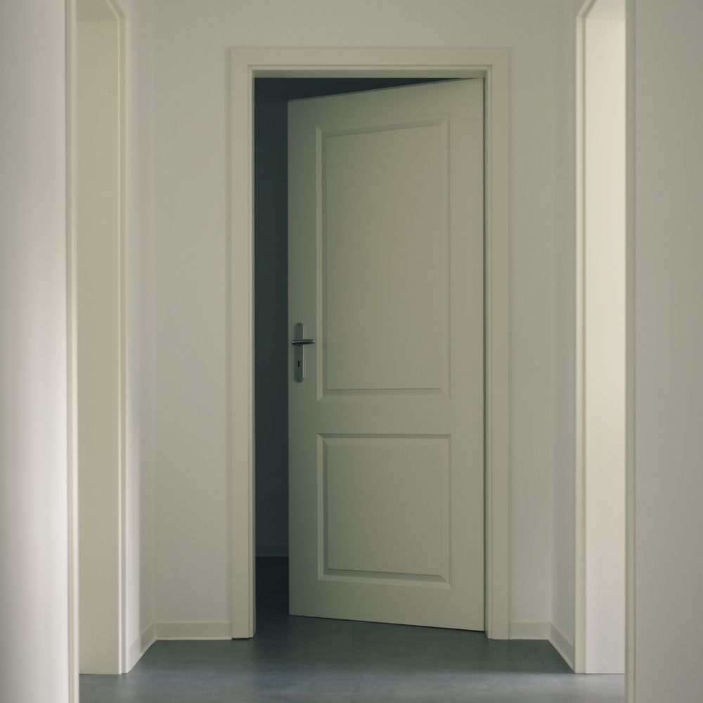Flush Doors